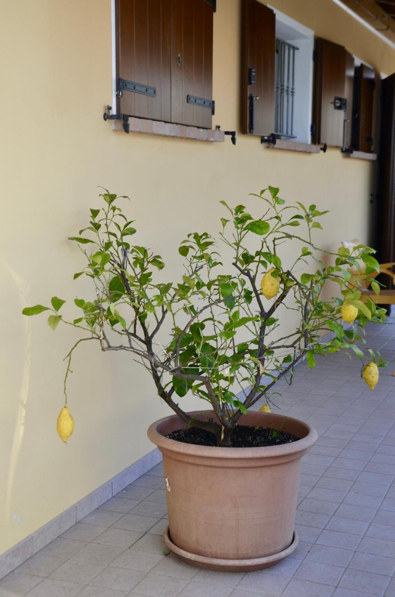 A Casa Di Amici Villa Vidor Kültér fotó